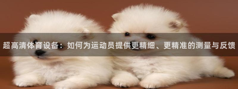 球王会体育