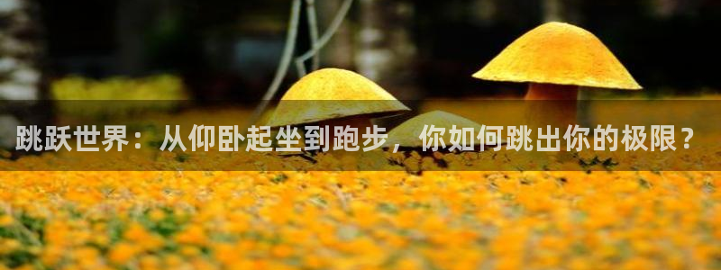 球王会体育