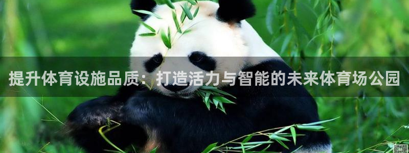 球王会体育：提升体育设施品质：打造活力与智能的未来体育场公园