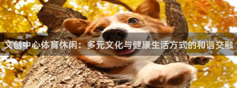 球王会体育：文创中心体育休闲：多元文化与健康生活方式的和谐交融