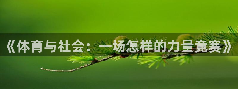 球王会体育：《体育与社会：一场怎样的力量竞赛》