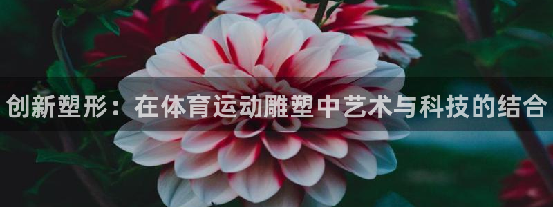 球王会体育：创新塑形：在体育运动雕塑中艺术与科技的结合