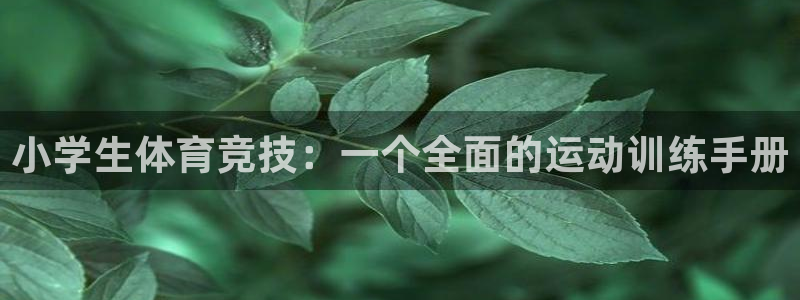 球王会体育：小学生体育竞技：一个全面的运动训练手册