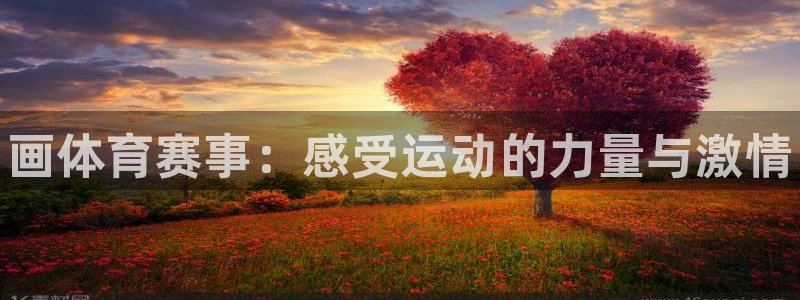 球王会体育：画体育赛事：感受运动的力量与激情