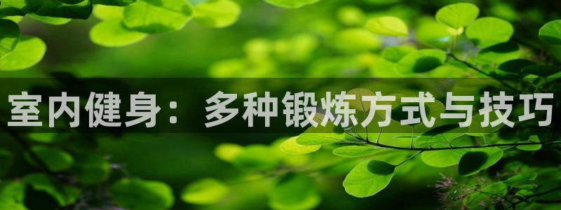 球王会体育：室内健身：多种锻炼方式与技巧