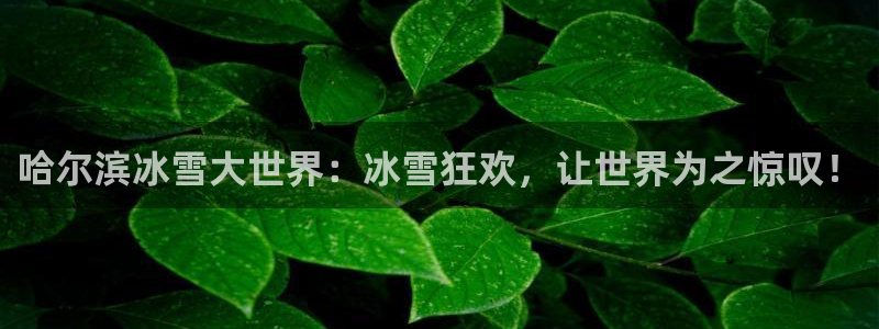 球王会体育：哈尔滨冰雪大世界：冰雪狂欢，让世界为之惊叹！