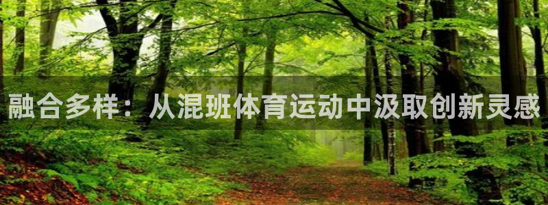 球王会体育：融合多样：从混班体育运动中汲取创新灵感