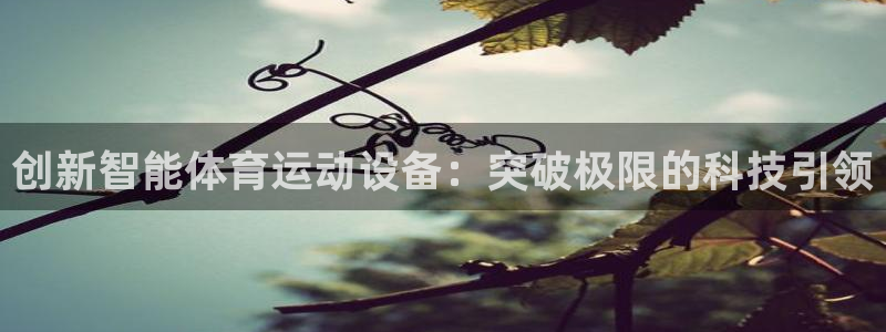 球王会体育：创新智能体育运动设备：突破极限的科技引领