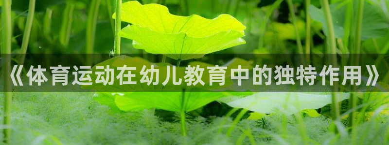 球王会体育：《体育运动在幼儿教育中的独特作用》