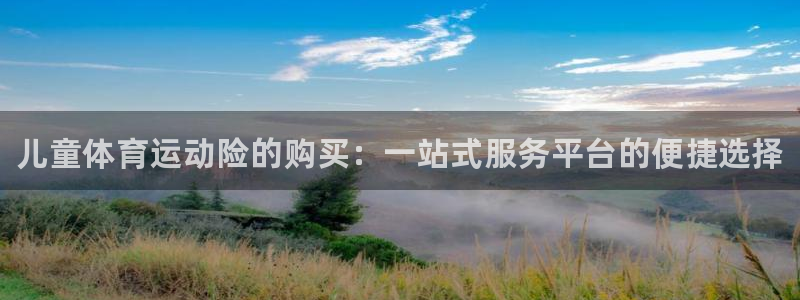 球王会体育：儿童体育运动险的购买：一站式服务平台的便捷选择