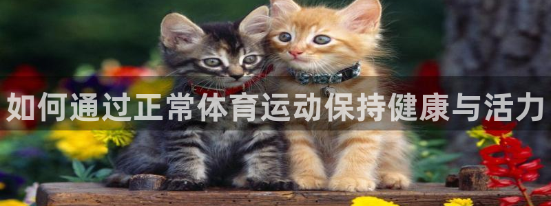 球王会体育：如何通过正常体育运动保持健康与活力