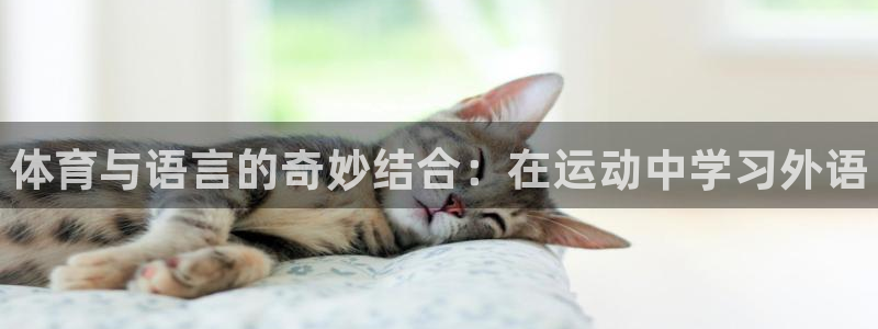 球王会体育：体育与语言的奇妙结合：在运动中学习外语