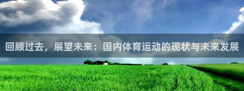 球王会体育：回顾过去，展望未来：国内体育运动的现状与未来发展