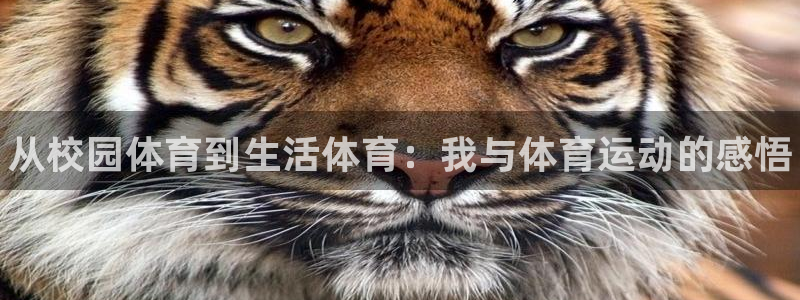 球王会体育：从校园体育到生活体育：我与体育运动的感悟