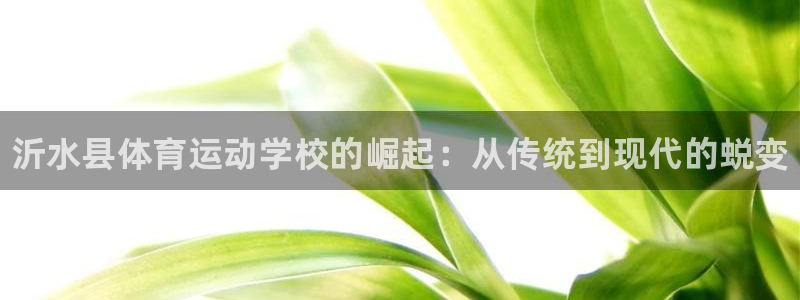 球王会体育：沂水县体育运动学校的崛起：从传统到现代的蜕变