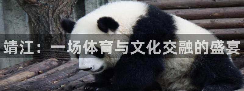 球王会体育：靖江：一场体育与文化交融的盛宴