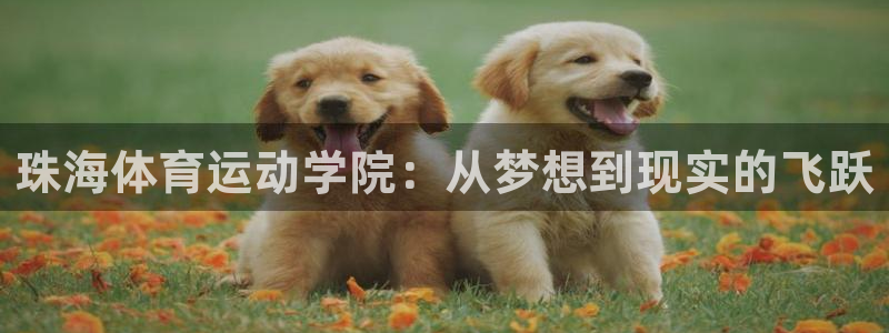 球王会体育：珠海体育运动学院：从梦想到现实的飞跃