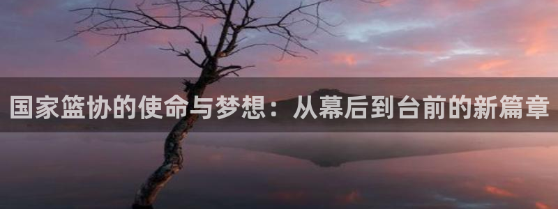 球王会体育：国家篮协的使命与梦想：从幕后到台前的新篇章