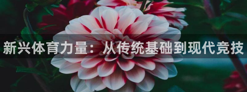 球王会体育：新兴体育力量：从传统基础到现代竞技
