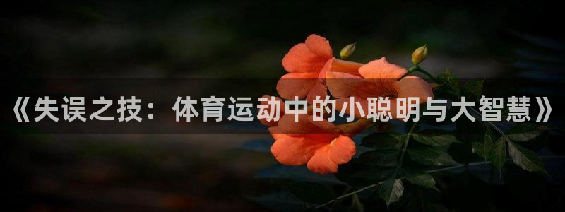 球王会体育：《失误之技：体育运动中的小聪明与大智慧》