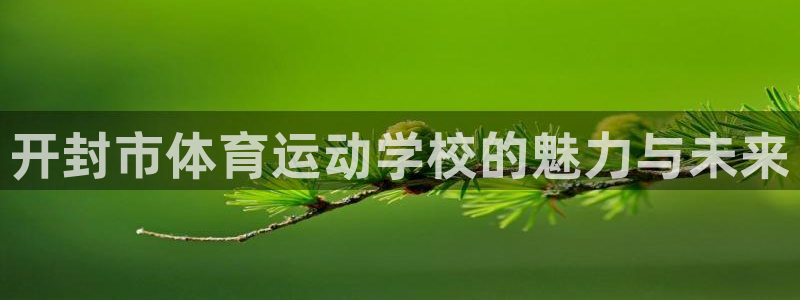 球王会体育：开封市体育运动学校的魅力与未来