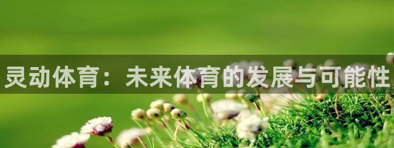 球王会体育：灵动体育：未来体育的发展与可能性