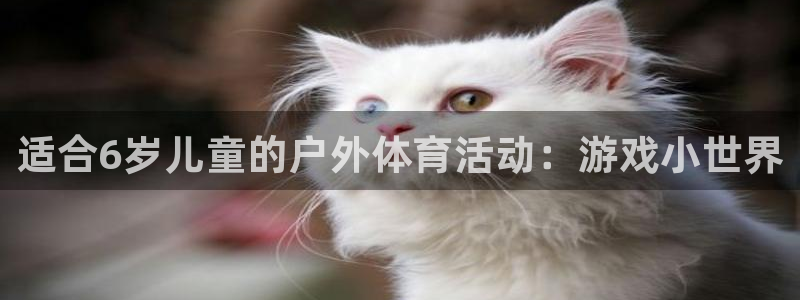 球王会体育：适合6岁儿童的户外体育活动：游戏小世界