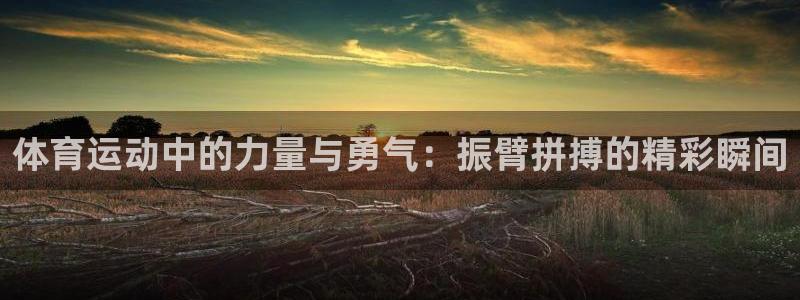 球王会体育：体育运动中的力量与勇气：振臂拼搏的精彩瞬间