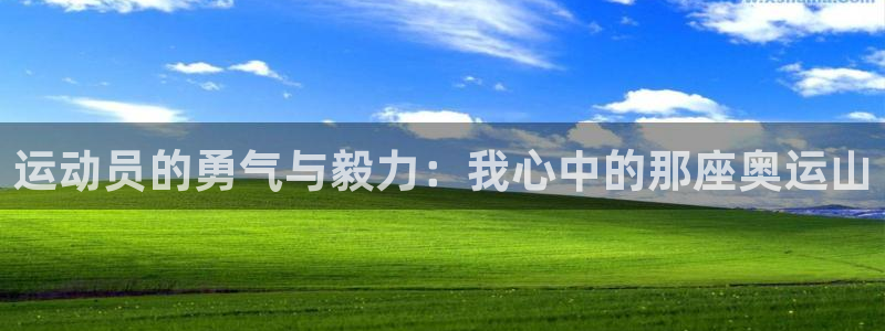 球王会体育：运动员的勇气与毅力：我心中的那座奥运山