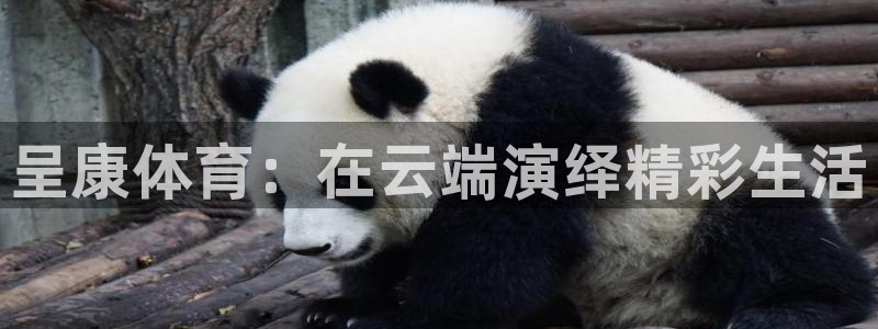 球王会体育：呈康体育：在云端演绎精彩生活