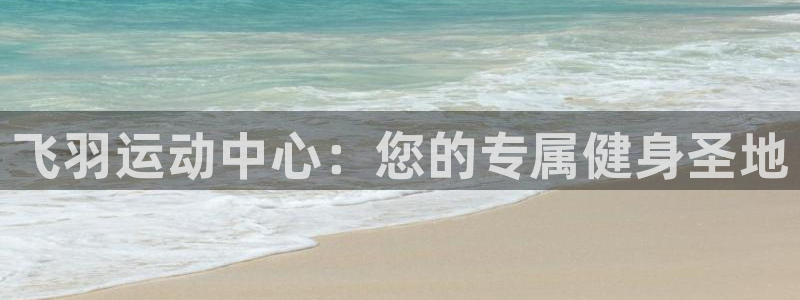 球王会体育：飞羽运动中心：您的专属健身圣地