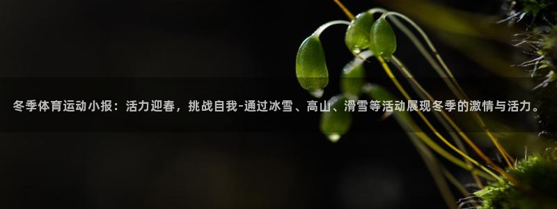 球王会体育：冬季体育运动小报：活力迎春，挑战自我-通过冰雪、高山、滑雪等活动展现冬季的激情与活力。
