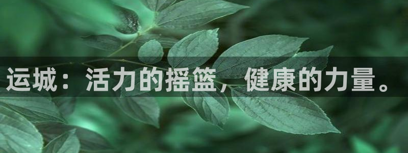 球王会体育：运城：活力的摇篮，健康的力量。