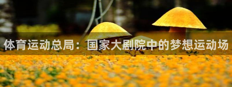球王会体育：体育运动总局：国家大剧院中的梦想运动场