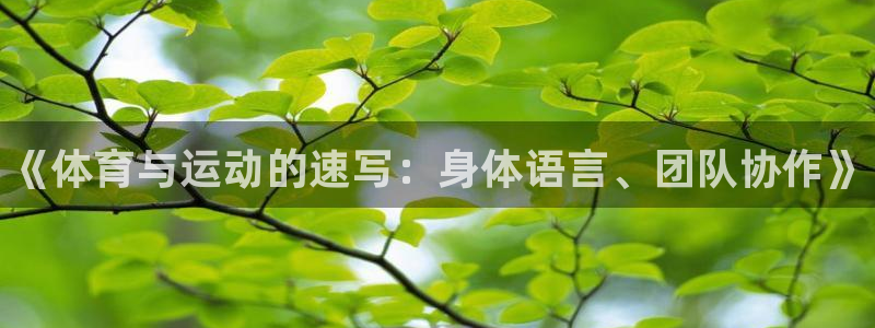 球王会体育：《体育与运动的速写：身体语言、团队协作》