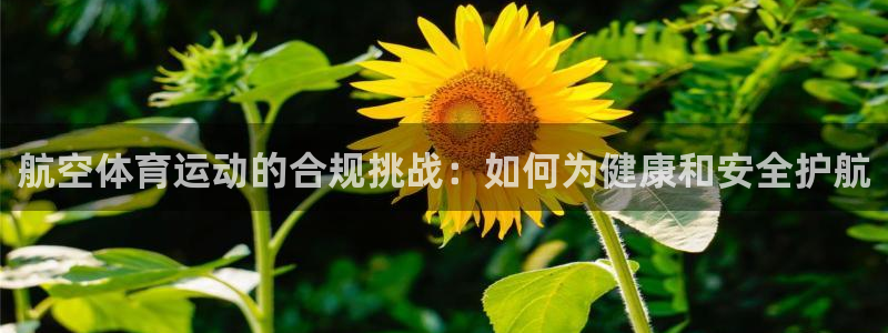 球王会体育：航空体育运动的合规挑战：如何为健康和安全护航