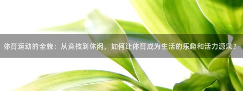 球王会体育：体育运动的全貌：从竞技到休闲，如何让体育成为生活的乐趣和活力源泉？