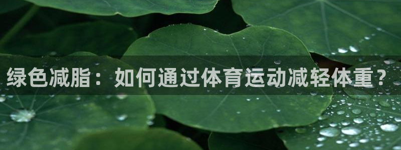球王会体育：绿色减脂：如何通过体育运动减轻体重？