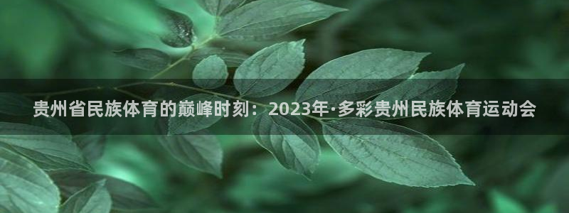 球王会体育：贵州省民族体育的巅峰时刻：2023年·多彩贵州民族体育运动会