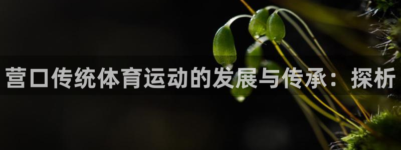 球王会体育：营口传统体育运动的发展与传承：探析