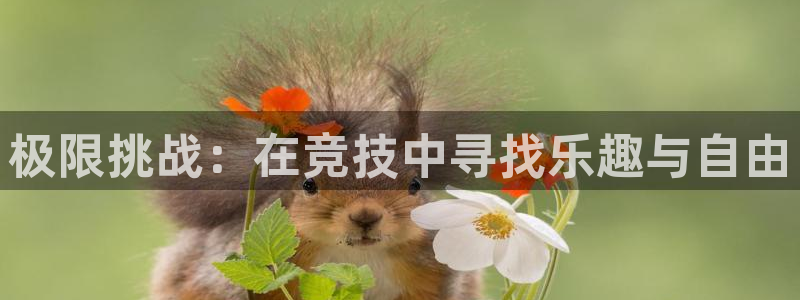 球王会体育：极限挑战：在竞技中寻找乐趣与自由