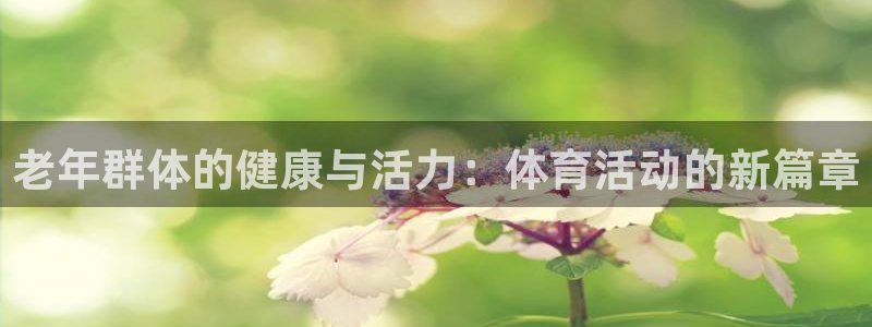球王会体育：老年群体的健康与活力：体育活动的新篇章