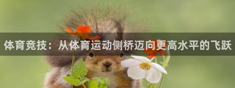 球王会体育：体育竞技：从体育运动侧桥迈向更高水平的飞跃