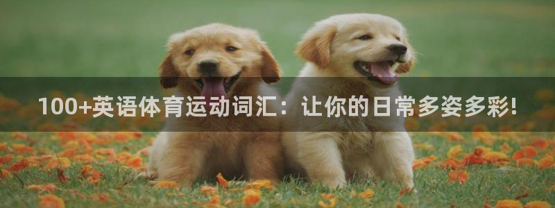 球王会体育：100+英语体育运动词汇：让你的日常多姿多彩!