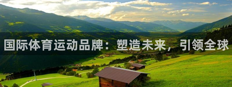 球王会体育：国际体育运动品牌：塑造未来，引领全球