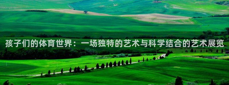 球王会体育：孩子们的体育世界：一场独特的艺术与科学结合的艺术展览