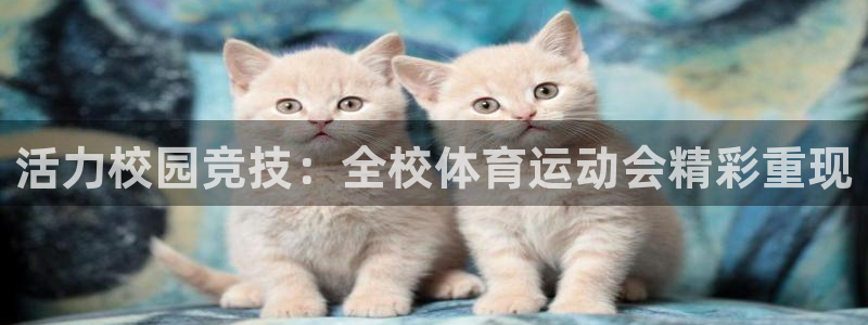 球王会体育：活力校园竞技：全校体育运动会精彩重现